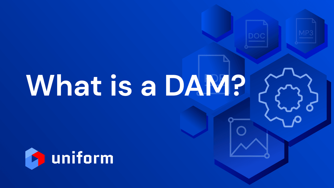 What is digital asset management (DAM)?
